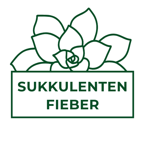 Sukkulentenfieber